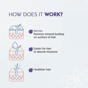 The Berry Blush Shampoo 50ml
